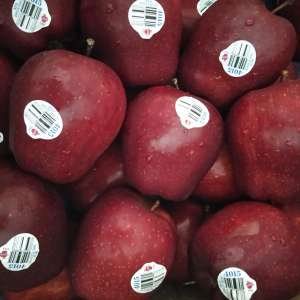 Apel Merah - Sinergi Smart Tumbas