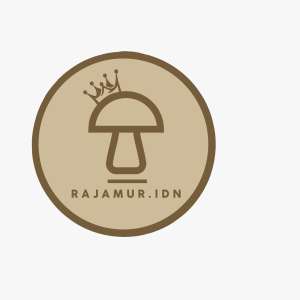 Rajamur.idn