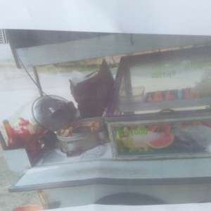 Elbilar buah