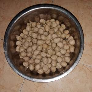Pangestu eco