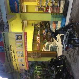 Diamonds petshop