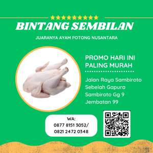 Bintang Sembilan