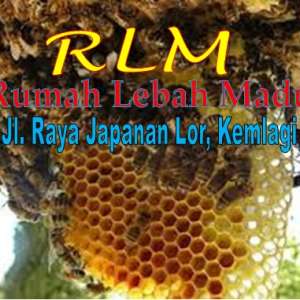 RLM (Rumah Lebah Madu)