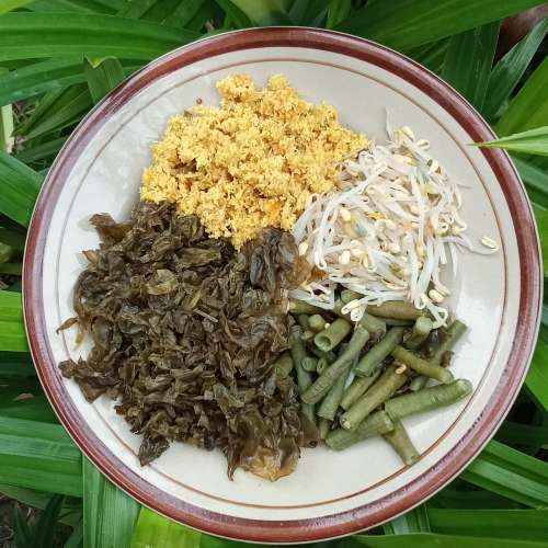 Urap urap jamur lumut