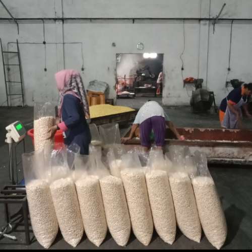 Pilus putih