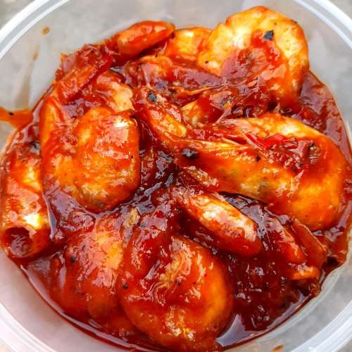 Udang