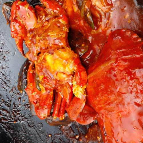 Kepiting papua