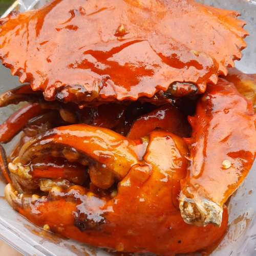 Kepiting jumbo papua