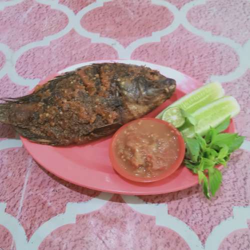 Nila bakar