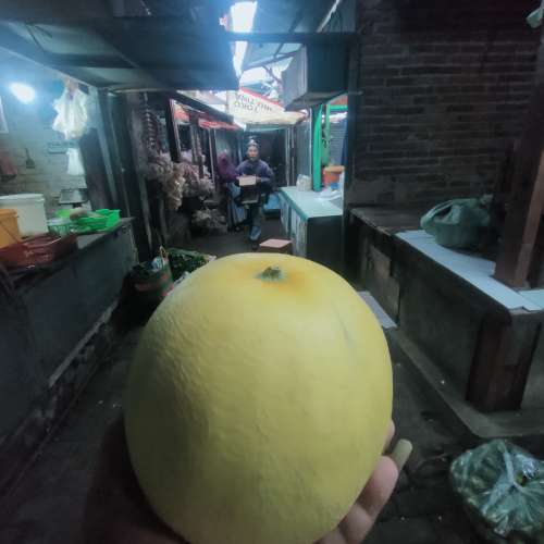 Melon