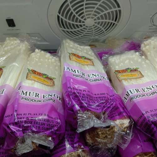 Jamur enoki