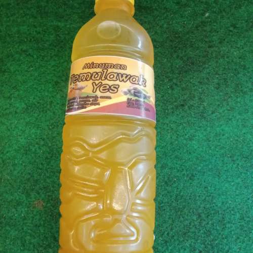 Jamu temulawak