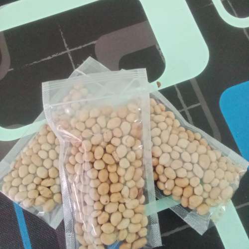 Kacang telur