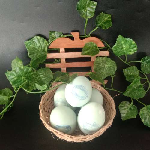 telur asin