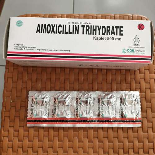 amoxicillin