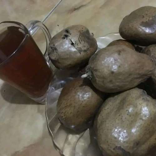 Buah zuriat promil