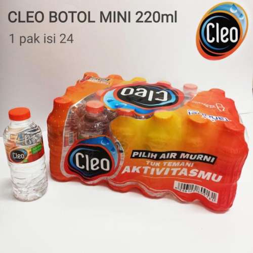 Cleo Mini Smart 220ml