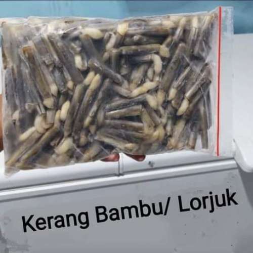 Kerang bambu