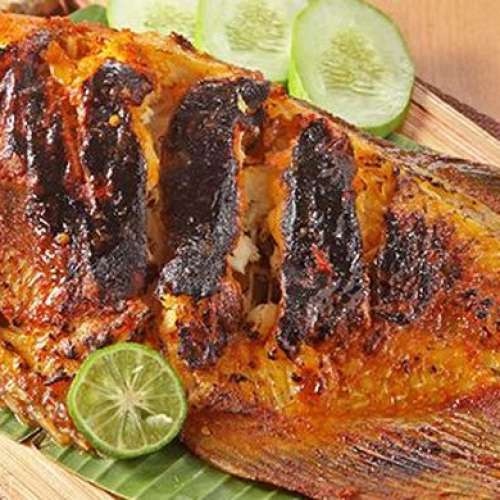 Gurami Besar SMASH