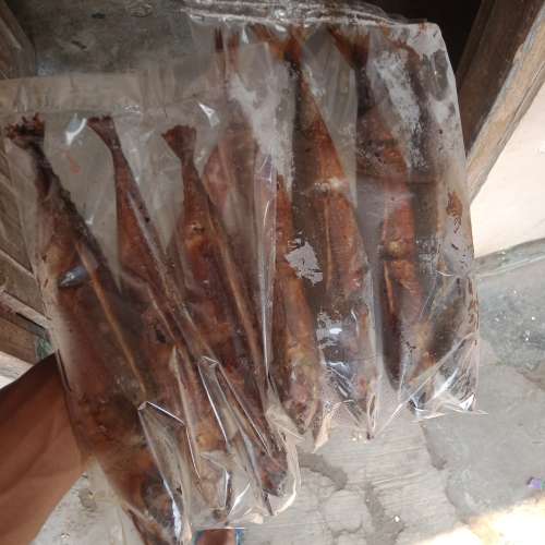 Asapan ikan salem