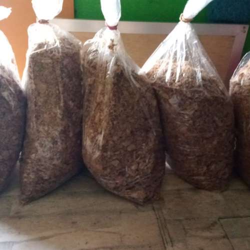 Bagor kriuk kemasan sekilo an