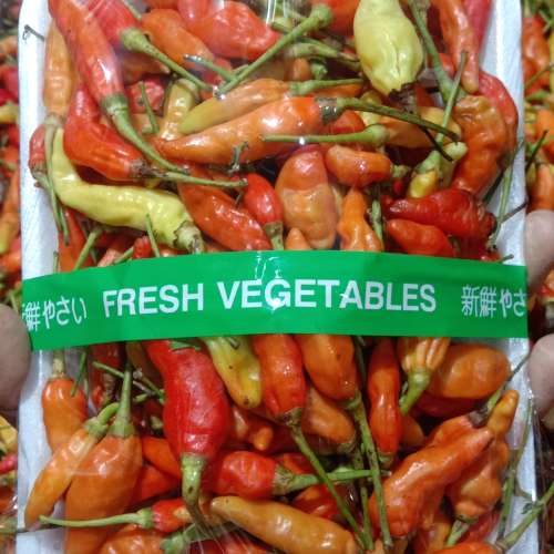 Cabe Rawit