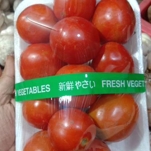 tomat Sayur