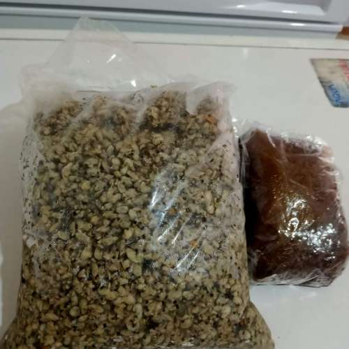 Kupang petis
