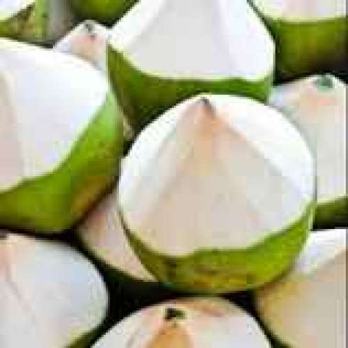 Degan kupas  full