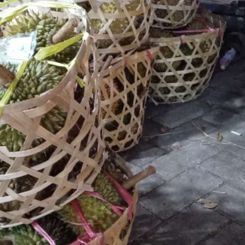 Buah Durian