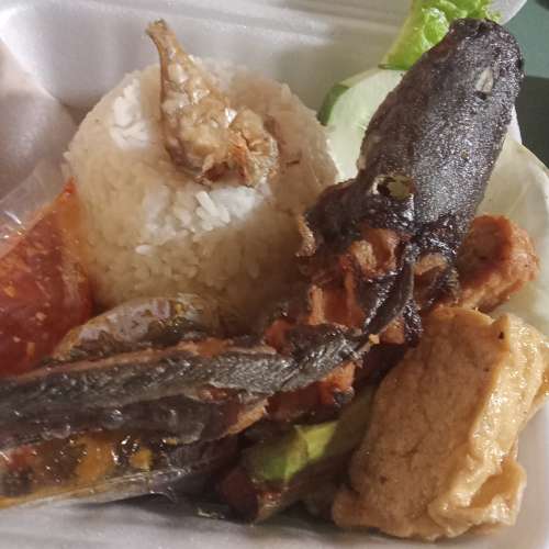 Lele penyet