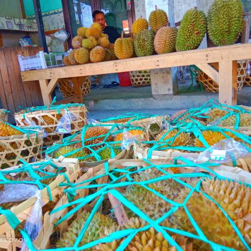 durian kranjangan