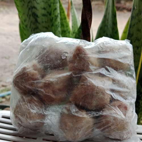 Pentol urat sedang