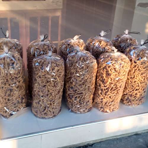 Kripik usus