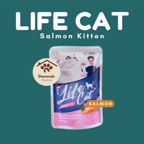 Life cat sachet kitten salmon