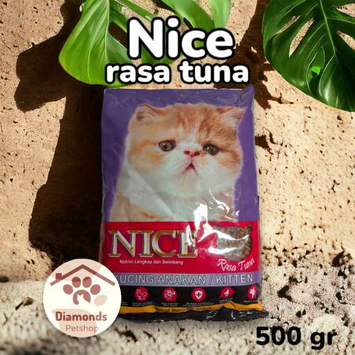 NICE rasa tuna for kitten