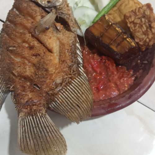 Gurami goreng/bakar