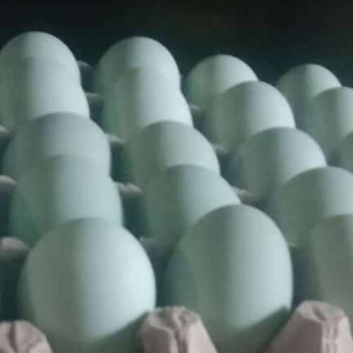 Telur Asin by luluk's kitchen