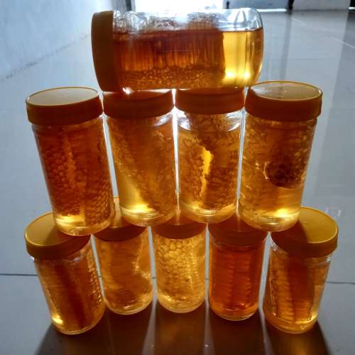 Madu multifora