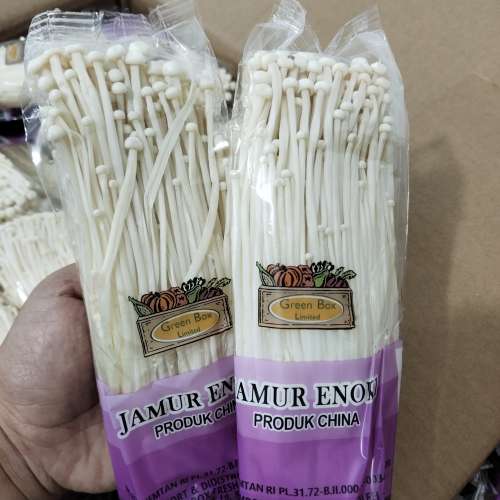 Jamur enoki dpt 3