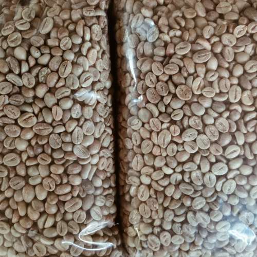 Kopi robusta_wonosalam
