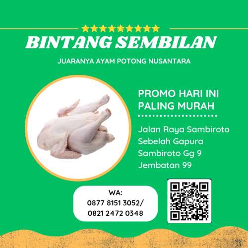 Ayam Potong Boiler
