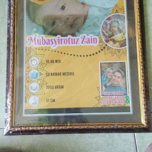 pigora baby bio 12R
