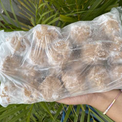 Jumbo kasar isi tetelan