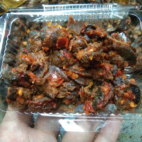 Rica " Bekecot