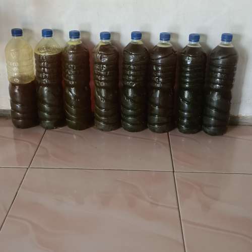 Madu Liar Sodiq Abadi