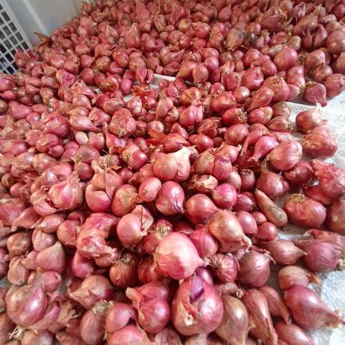 Bawang merah ½kg