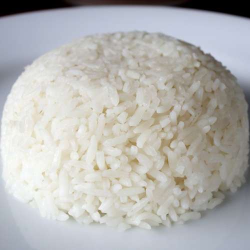 Nasi putih