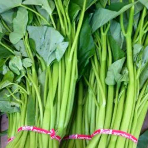 Kangkung sayur segar /fresh