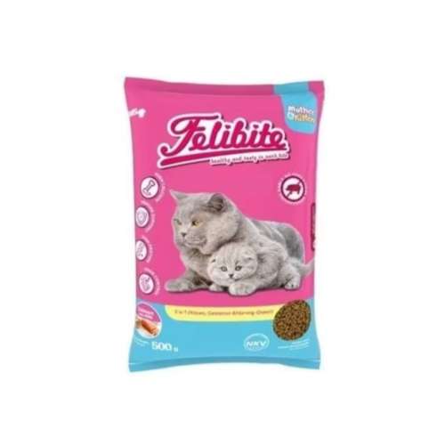 Felibite kitten